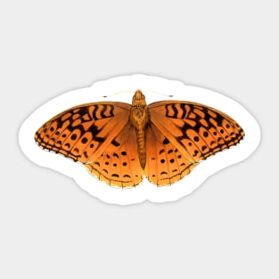 Great Spangled Fritillary Sticker